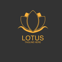lotus flowers design logo Template icon