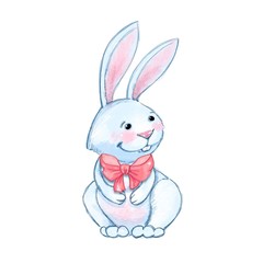 Rabbit isolated on white background. Cartoon illustration