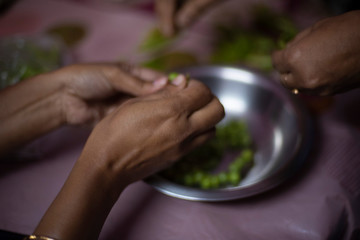 Green peas are peeled off and collected in a steel pot inside of a room.