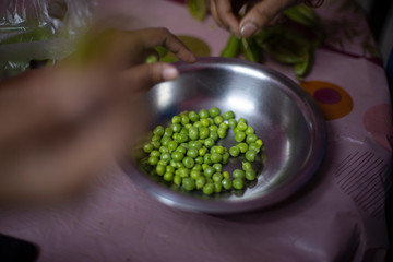 Green peas are peeled off and collected in a steel pot inside of a room.