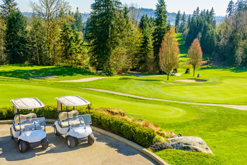 Golf carts on a golf course - obrazy, fototapety, plakaty