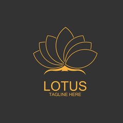 lotus flowers design logo Template icon