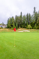 Golf course with gorgeous green, sand bunker and golf flag and real estate on background.