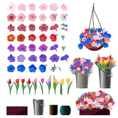 Set of Petunia and Tulip flower buds for making flower arrangements with examples of use in baskets, buckets and pots. Vector illustration in a cartoon,  realistic style isolated on a white background