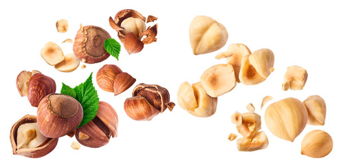 Hazelnuts crushed into pieces, frozen in the air.