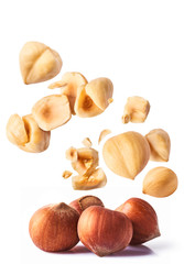 Hazelnuts crushed into pieces, frozen in the air.