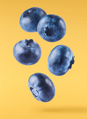 Fresh raw blueberries falling in the air.