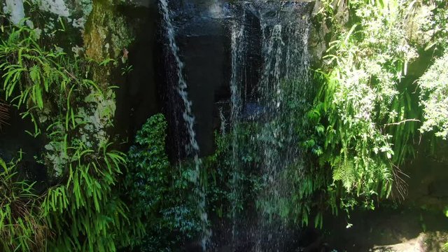 Looking down over Curtis Falls, Mt Tamborine, rain forest creek, summers day Queensland Australia .