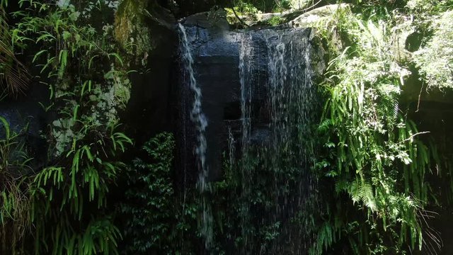 Rising footage of Curtis Falls, Mt Tamborine, rain forest creek, summers day Queensland Australia .