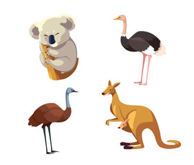 set of wild animals of australia on white background