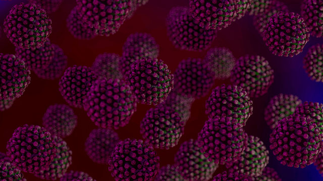 Coronavirus 2019-nCov novel coronavirus concept resposible for asian flu outbreak and coronaviruses influenza as dangerous flu strain cases as a pandemic. Microscope virus close up. 3d rendering © kwarkot