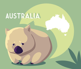 wombat with map of australia in the background