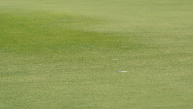 Close Up Golf Ball Rolling Drop Into Hole.