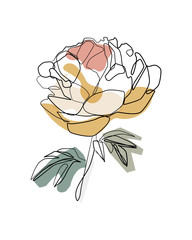 Bouquet of peony in one line art drawing style. Vector illustration © DaisyArt