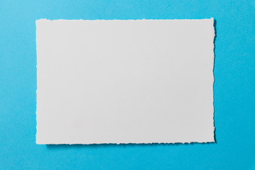 Blank postcard template on a blue background.