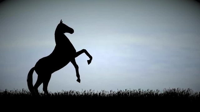 Horse pesade silhouette against a pale blue sky