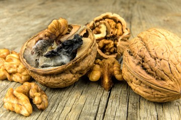 Moldy walnut on wooden table. Unhealthy food. Food mold. Poisonous mold. Storage of nuts.