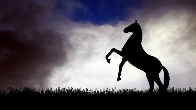 Horse pesade in silhouette against a cloudy sky