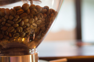 Coffee Beans in a Grinder