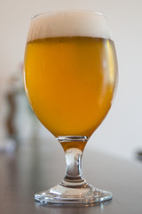 Craft Beer