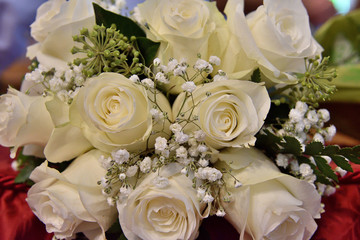 beautiful bouquet of delicate white roses, brilliance of purity, ideal to give on a special day