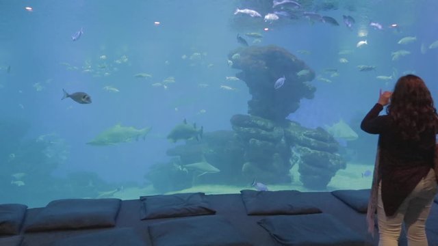 A big screen of Palma Aquarium having sea species making a realistic view in the ocean, A lady is pleasuring to watch and videoing by a smartphone.