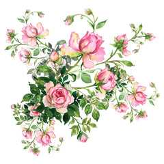  Watercolor background with rosebud.