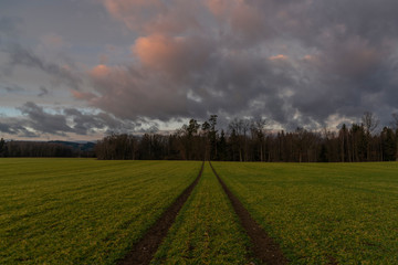 Obraz premium Path in color sunrise on green field near Vyhen village in south Bohemia