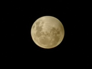 Obraz premium Full moon 