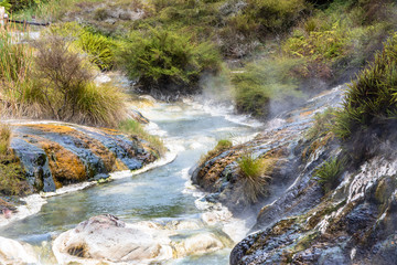 Rotorua Waimangu Volcanic Valley mit dem Inferno Krater auf der Nordinsel von Neuseeland © Dieter Meyer