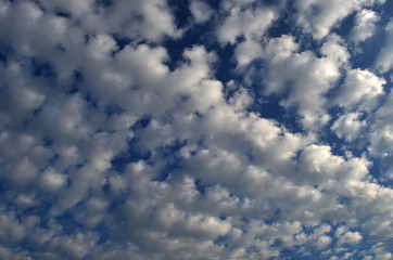 photo of bright blue sky with curly white clouds