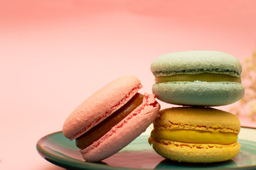 three bright multi-colored macaroons on a colored plate, on a pink background close-up, there is copy space