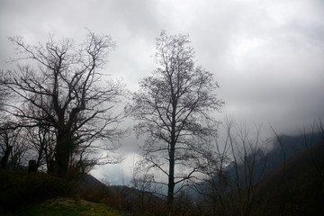Italia : Paesaggio montano invernale, Gennaio 2020.