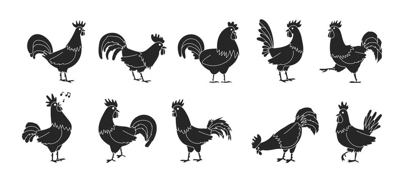 Cock of animal isolated black,simple set icon.Vector illustration set rooster cockerel.Vector black,simple icon cock of animal.