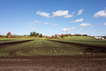 Fototapeta na wymiar Rural Farm In Autumn