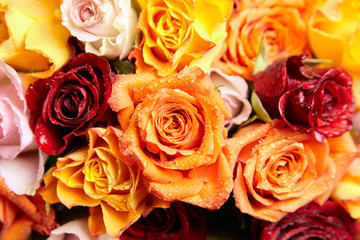 Bouquet of different color roses with water drops, floral background, closeup. Red, orange and pink flowers. Romantic Valentine's Day Gift