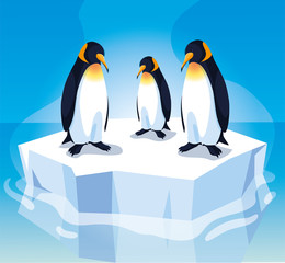 three penguin on an ice floe drifting