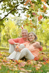 Senior couple sitting on autumn leaves in park