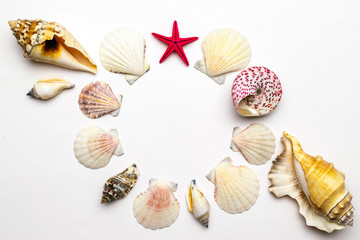 Summer holiday poster with Living Coral color sea shells and starfish on white background, copy space. Top view travel or vacation concept. Flat lay