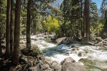 Fototapeta na wymiar Yosemite-Nationalpark