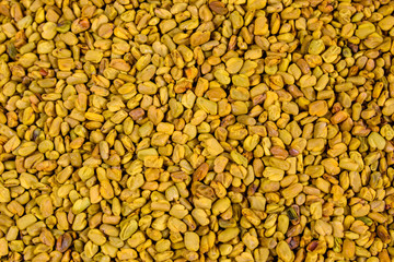 Background of the fenugreek seeds (methi dana, helba or shambala)