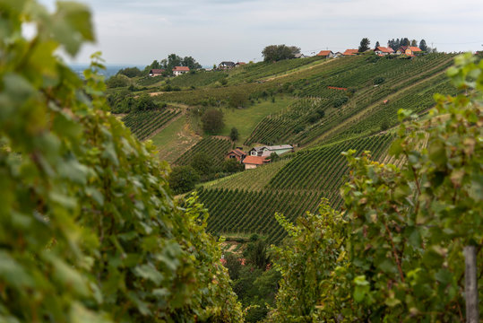 Korca Bilder Durchsuchen 693 Archivfotos, und Videos