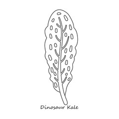 Dinosaur vector icon.Outline,line vector icon isolated on white background dinosaur