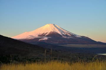 Fototapeta premium 富士 富士山 山梨県山中湖付近の風景