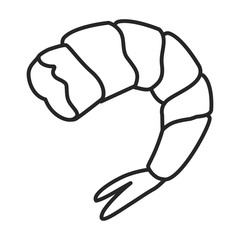 Shrimp vector icon.Outline,line vector icon isolated on white background shrimp .