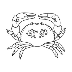 Sea crab vector icon.Outline,line vector icon isolated on white background sea crab .