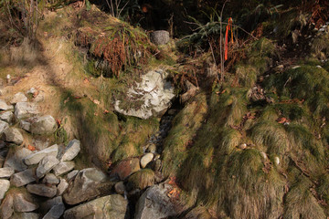 lynn creek, February, hiking