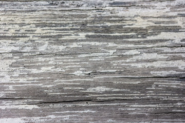 Scratched and cracked wood  texture and patten background