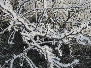 Ice patterns.Composition 2.