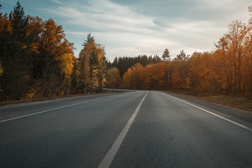 Country road. Forest. Autumn season.